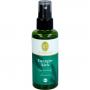 ENERGIEKICK Raumspray Bio