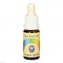 ENERGY BALANCER Energetic Stability Essenz Tropfen