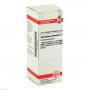 EQUISETUM ARVENSE D 1 Dilution