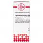 EQUISETUM ARVENSE D 10 Globuli Ind.Fert.