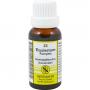 EQUISETUM KOMPLEX Nr.23 Dilution