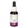 ESSENCE of Energy Mischung austr.Living Essenzen