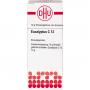 EUCALYPTUS C 12 Globuli Ind.Fert.