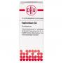 EUPHORBIUM C 6 Globuli Ind.Fert.
