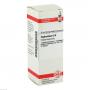 EUPHORBIUM D 6 Dilution