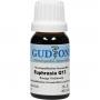EUPHRASIA Q 13 Lösung