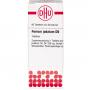 FERRUM JODATUM D 6 Tabletten