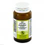 FERRUM PHOSPHORICUM KOMPLEX Nr.201 Tabletten