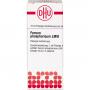 FERRUM PHOSPHORICUM LM VI Dilution