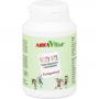 FIZZY VITS Kindervitamine AmosVital Lutschtabl.