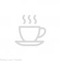 FRESH FOCUS Organic green Tea with Ginkgo Refill