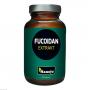 FUCOIDAN Braunalge 600 mg Kapseln