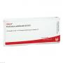 FUNICULUS UMBILICALIS GL D 12 Ampullen
