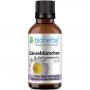 GÄNSEBLÜMCHEN Tinktur