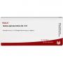 GALEA aponeurotica GL D 8 Ampullen