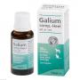 GALIUM COMP.-Heel ad us.vet.Tropfen