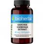 GARCINIA CAMBOGIA Extrakt 80 mg Kapseln