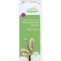 GEMMO-MAZERAT Salix caprea Mundspray