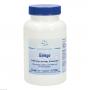 GINKGO 100 mg Junek Kapseln