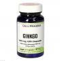GINKGO 160 mg GPH Kapseln