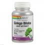 GINKGO BILOBA EXTRAKT 60 mg 24% Solaray Kapseln