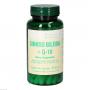 GINKGO BILOBA+Q10 Bios Kapseln