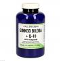 GINKGO BILOBA+Q10 GPH Kapseln