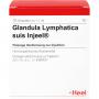 GLANDULA LYMPHATICA suis Injeel Ampullen