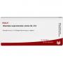 GLANDULA SUPRARENALES cortex GL D 6 Ampullen