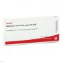 GLANDULA SUPRARENALES dextra GL D 10 Ampullen