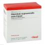 GLANDULA SUPRARENALIS suis Injeel Ampullen