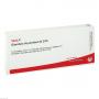 GLANDULA THYREOIDEA GL D 10 Ampullen