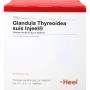 GLANDULA THYREOIDEA suis Injeel Ampullen