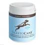 GLAXTOCANE Kautabletten f.Hunde