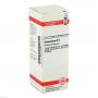 GLONOINUM D 6 Dilution