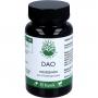 GREEN NATURALS DAO 100mg veg.zum Histaminabbau Kps