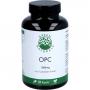GREEN NATURALS OPC 1000mg aus Traubenkern-Extr.Kps