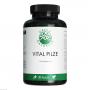 GREEN NATURALS Vital Pilze Cordyceps Reishi vegan
