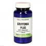 GRIFFONIA PLUS GPH Kapseln