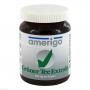 GRÜNER TEE Extrakt amerigo 200 mg Kapseln