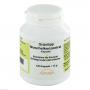 GRÜNLIPPMUSCHEL KONZENTRAT 500 mg Kapseln