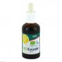 GSE Koriander Extrakt Bio 23% V/V Liquidum