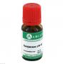 GUAJACUM LM 6 Dilution