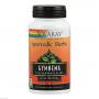 GYMNEMA leaf Extrakt 385 mg Solaray Kapseln