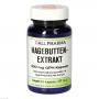 HAGEBUTTEN EXTRAKT 400 mg GPH Kapseln