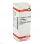 HAMAMELIS D 1 Dilution