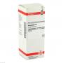 HAMAMELIS D 1 Dilution
