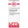 HAMAMELIS LM VI Dilution