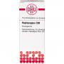HAPLOPAPPUS C 30 Globuli