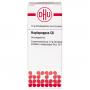 HAPLOPAPPUS C 6 Globuli Ind.Fert.